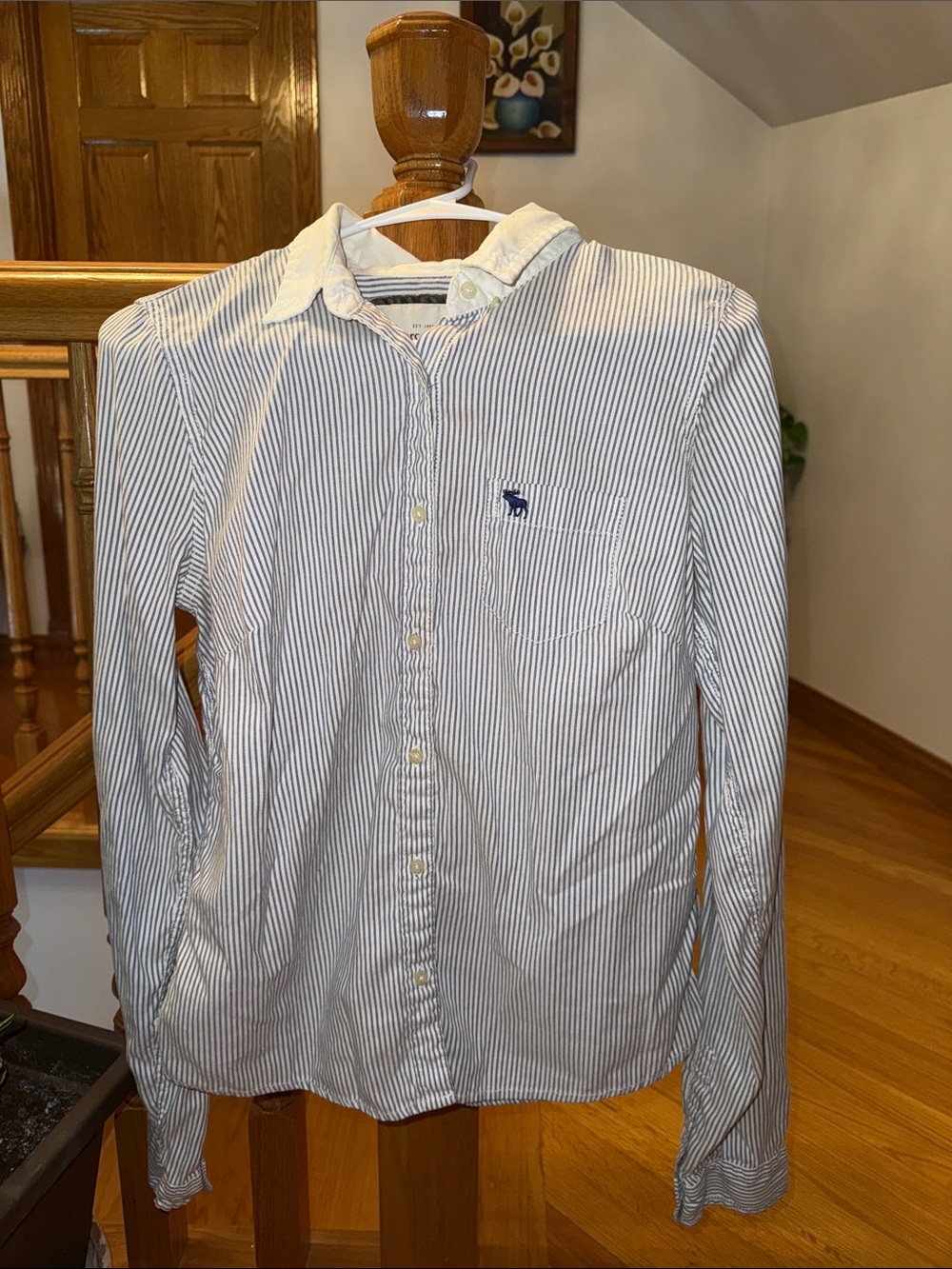 Abercrombie & Fitch Women’s Blue Stripe Button-Down Shirt